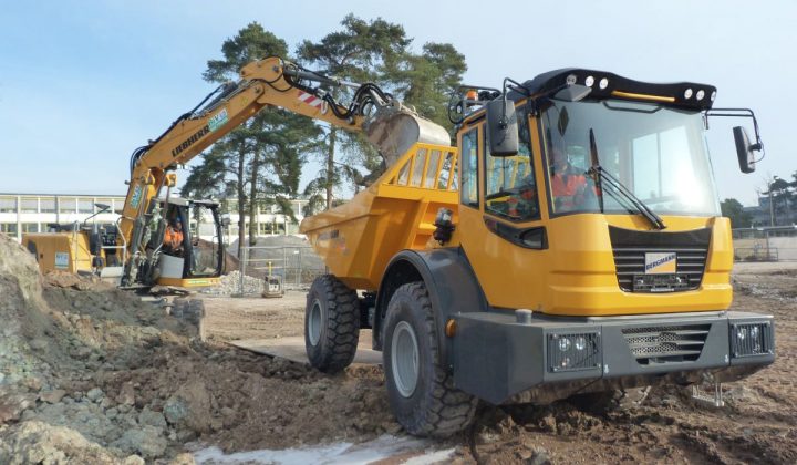 Bergmann Dumper 3012 Rplus