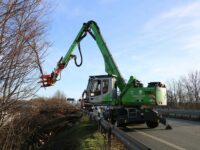 Bagger für Rodungsarbeiten