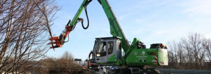 Bagger für Rodungsarbeiten