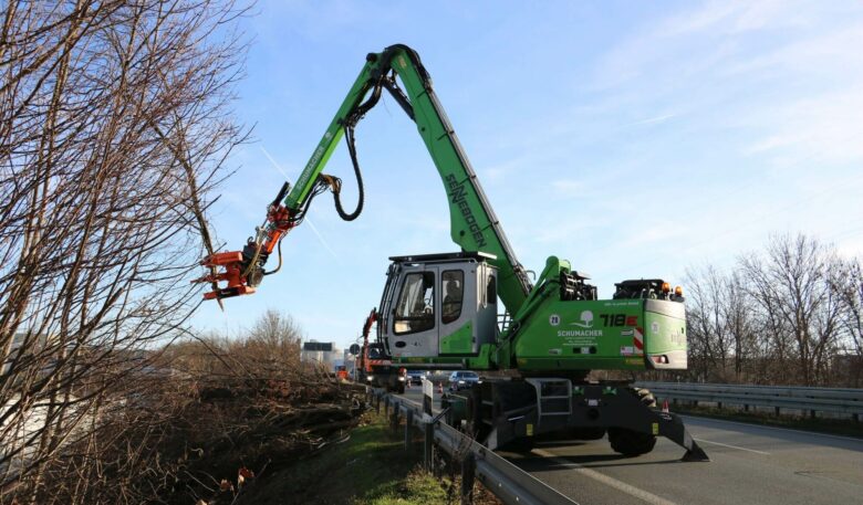 Bagger für Rodungsarbeiten