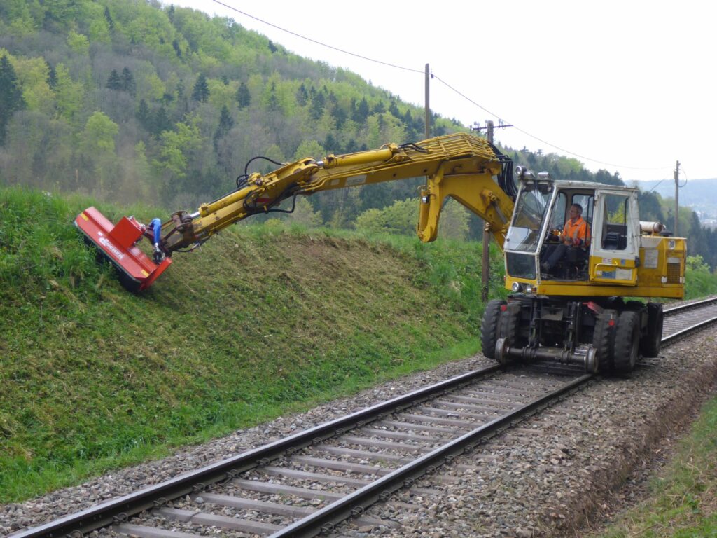 Bagger mit Anbaugerät zum Rasenmähen