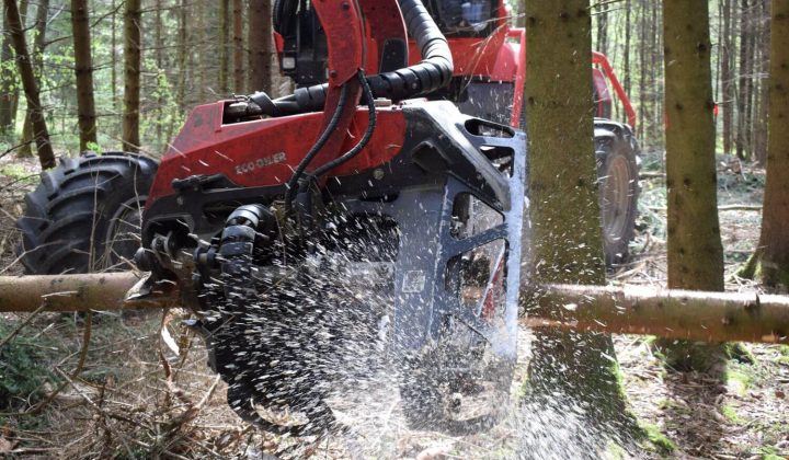 Forstmaschine im Wald