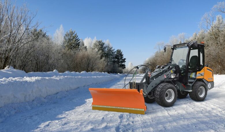 Experten auf Eis und Schnee
