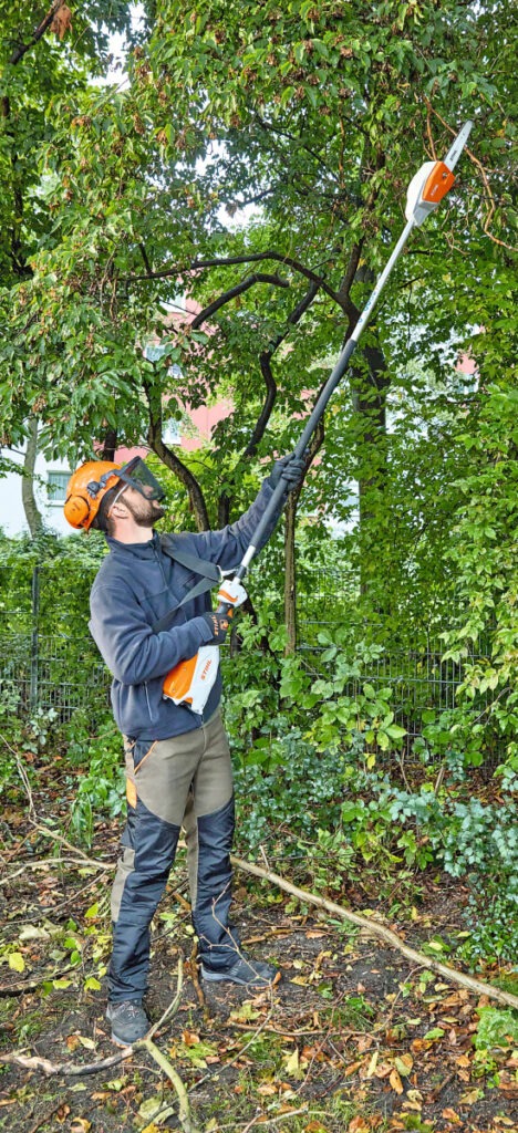 Stihl HTA 66 Entaster