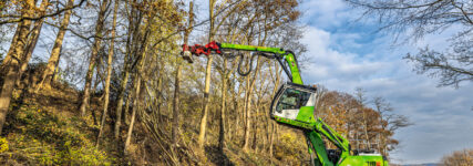 Sennebogen-Fällbagger 718 E optimiert Baumfällung