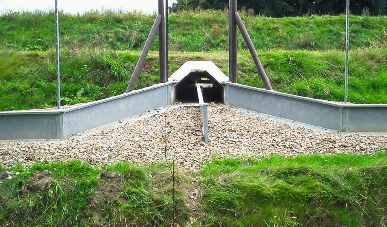 Amphibienschutz an Straßen