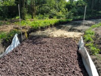 Wegebau mit klimaadaptiver Funktion