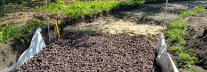 Wegebau mit klimaadaptiver Funktion