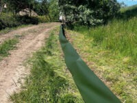 Arten- und Vegetationsschutz bei Baumaßnahmen von Blömen VuS