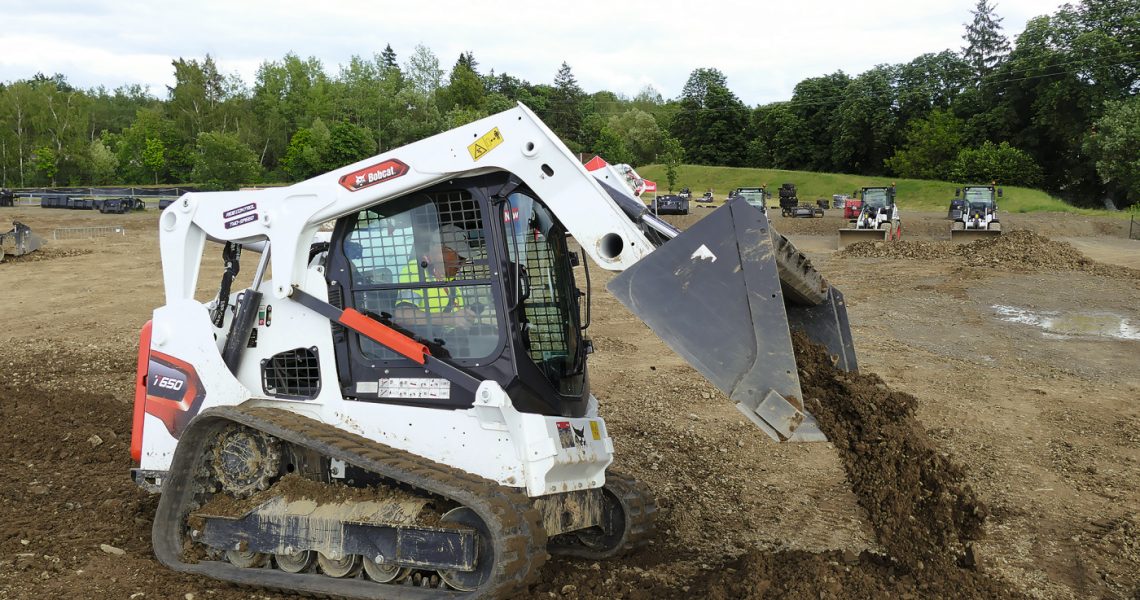 Bobcat