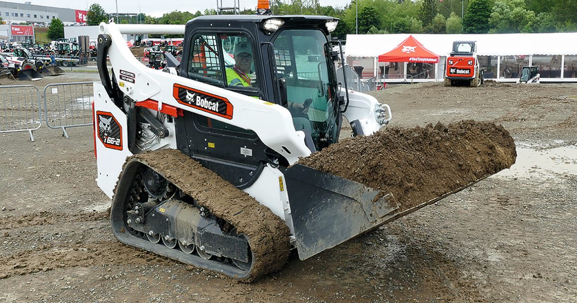 Bobcat