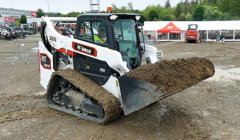 Bobcat