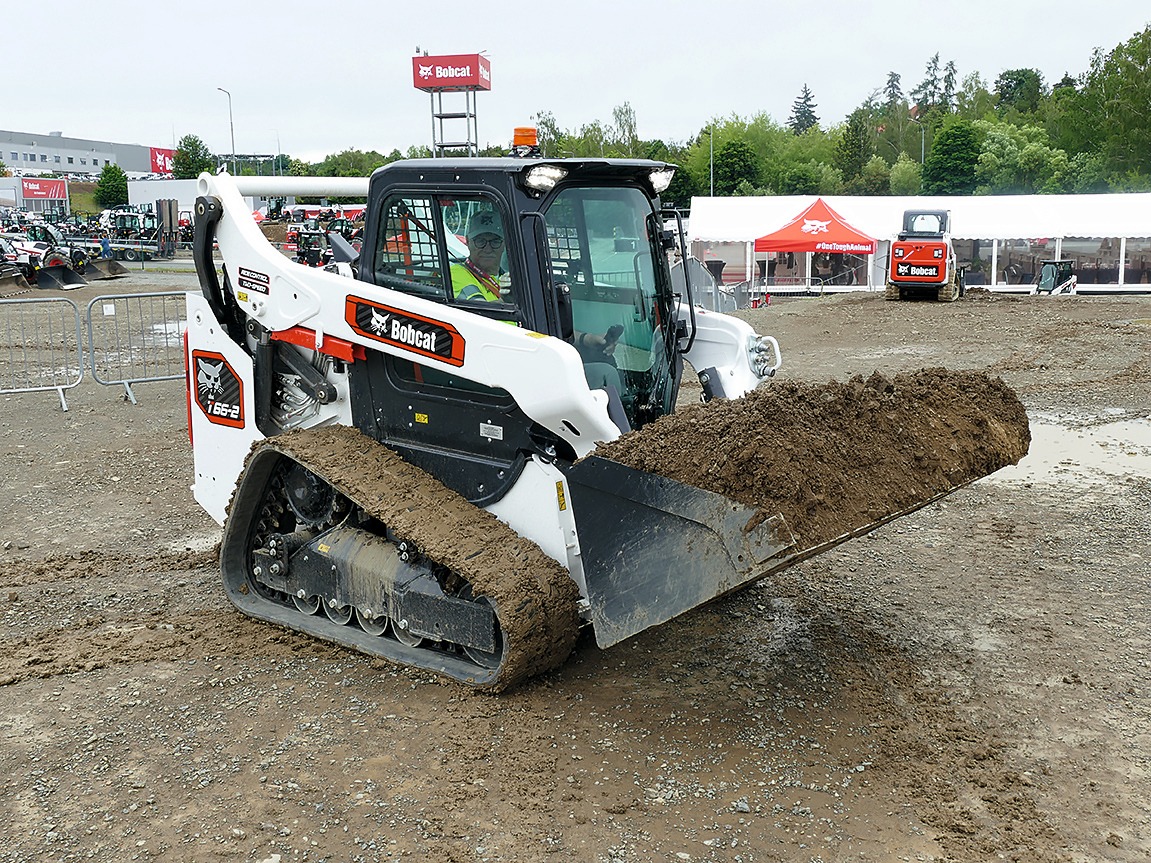 Bobcat