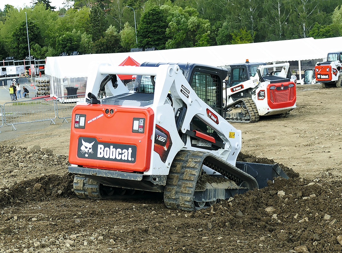 Bobcat