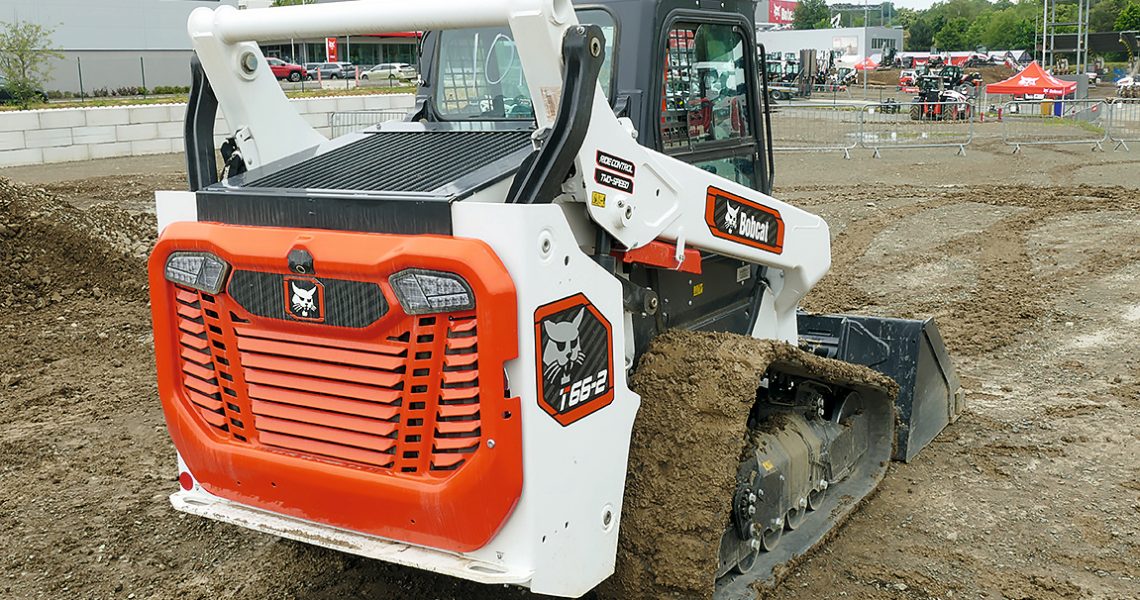 Bobcat