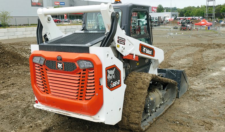 Bobcat